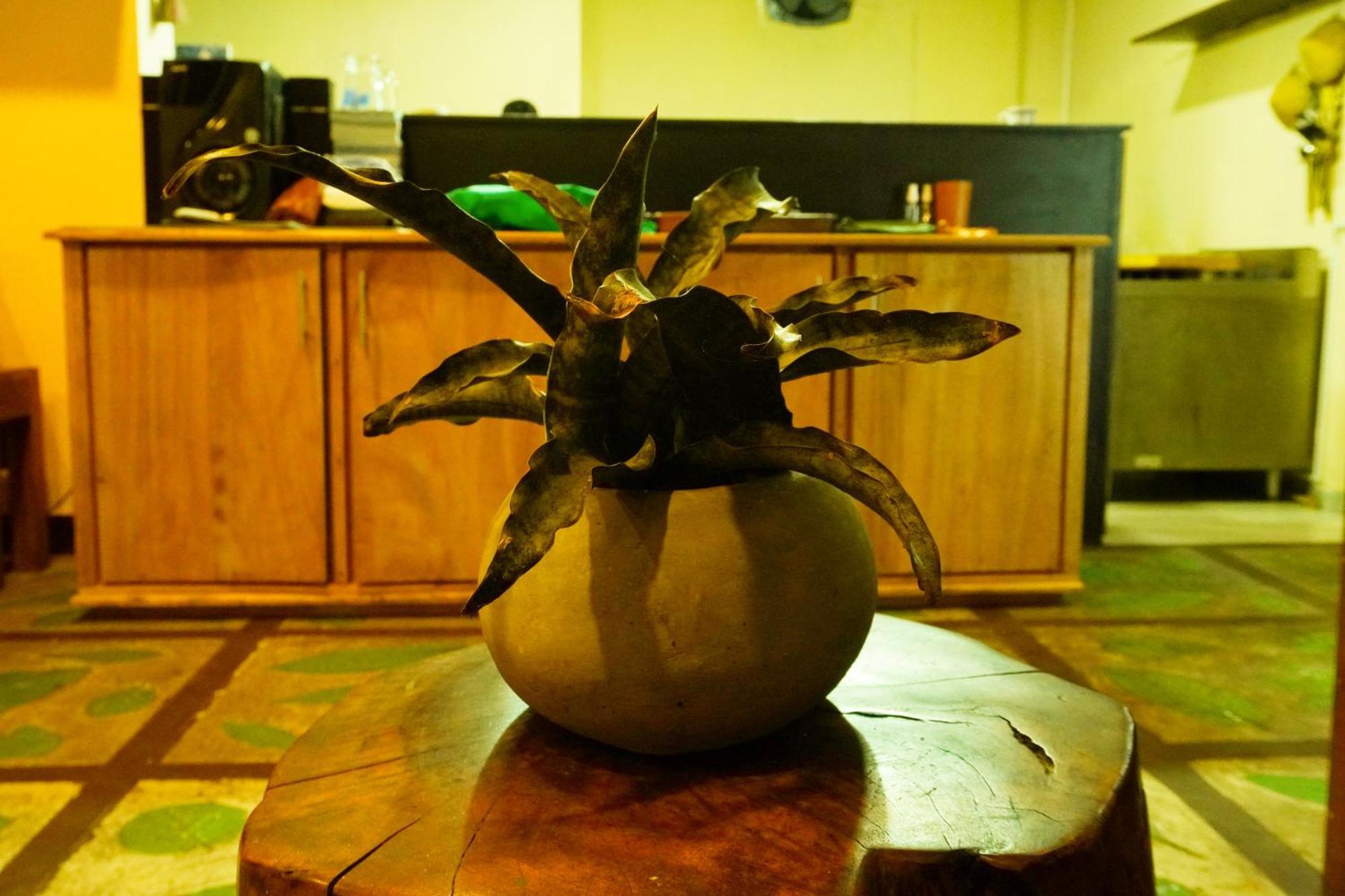 King Lobster Summer House Weligama Eksteriør bilde